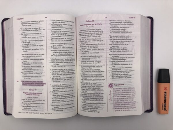 Biblia de la mujer conforme al corazón de Dios morada - Imagen 6