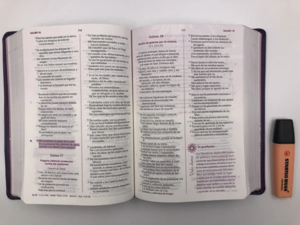 Biblia de la mujer conforme al corazón de Dios morada - Imagen 6