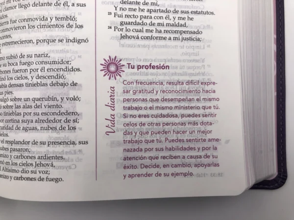 Biblia de la mujer conforme al corazón de Dios morada - Imagen 5