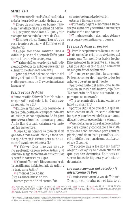Biblia Peshitta, Piel Imit. Negra