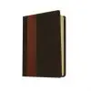 Biblia de Estudio Diario Vivir NTV