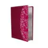 Biblia de estudio para Bing tinto