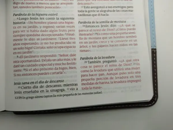 Biblia Compacta LG Azul-Chocolate NTV - Imagen 3