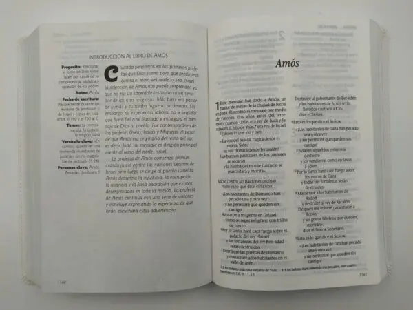 Biblia Edición personal Letra grande Blanca NTV - Imagen 2