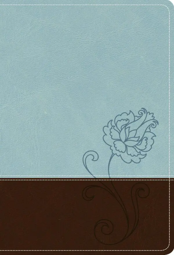 Biblia Compacta LG Azul-Chocolate NTV