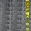 Biblia Zipper NTV Gris