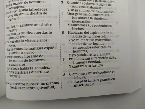 Biblia RVR 1977 Letra Grande - Imagen 2