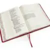 RVR 1960 Biblia de apuntes, edición ilustrada, símil piel rosado