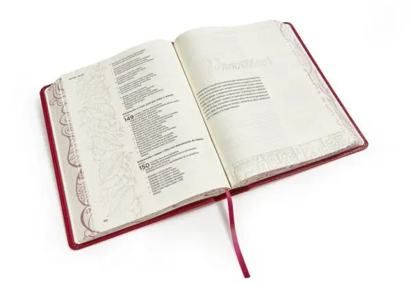 RVR 1960 Biblia de apuntes, edición ilustrada, símil piel rosado