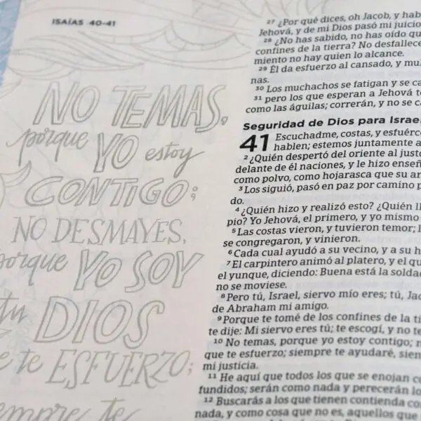 RVR 1960 Biblia de apuntes, edición ilustrada, símil piel rosado