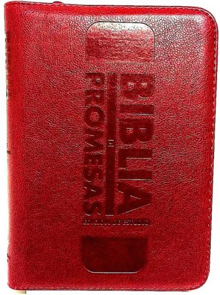 Biblia Promesas Estudio VinoTinto