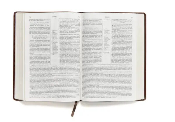 Biblia Estudio Scofield Tamaño personal - Imagen 3