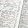 Biblia Estudio Scofield Tamaño personal - Imagen 4