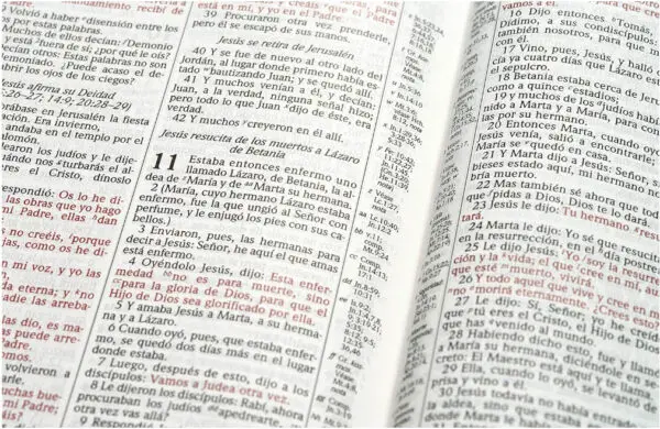 Biblia Estudio Scofield Tamaño personal - Imagen 4