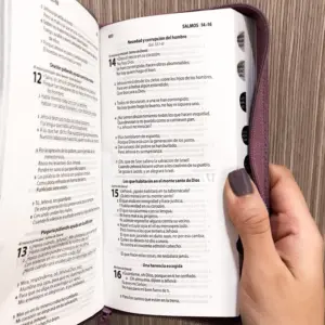 Biblia tipo chequera flexible Rosa