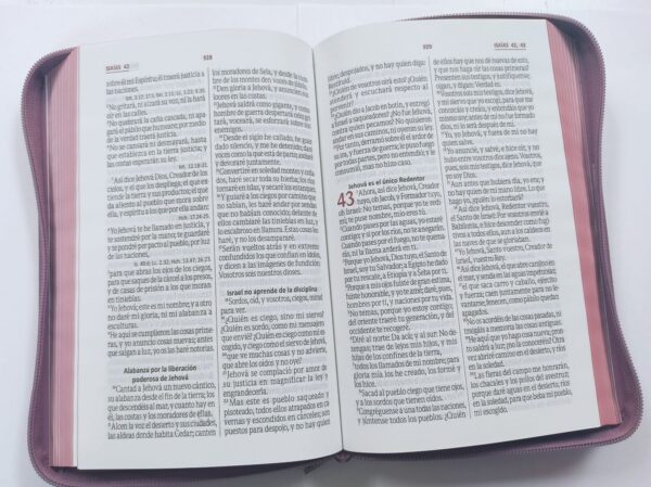 Biblia Letra Grande Con Cierre Rosada