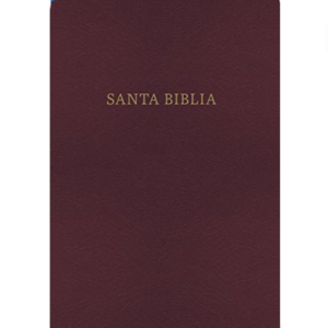 Santa Biblia Bilingüe KJV rojiza