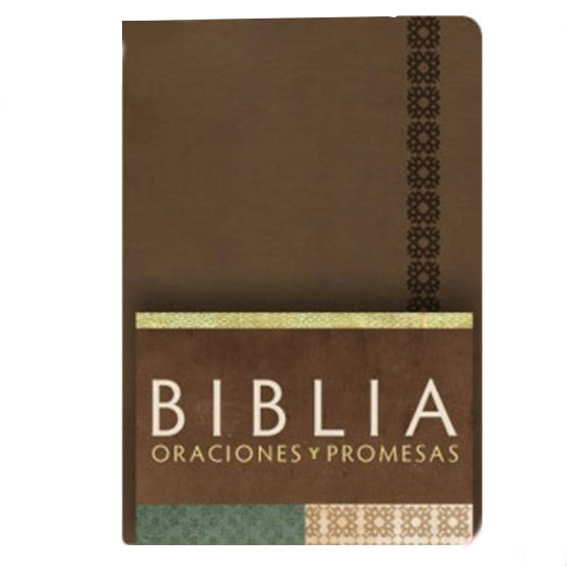 RVC Biblia Oraciones y Promesas