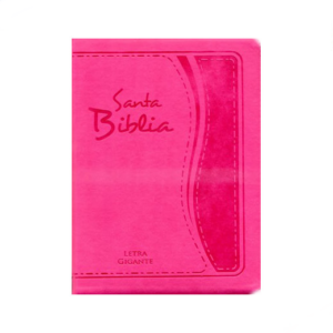 Biblia letra gigante fucsia RVR60