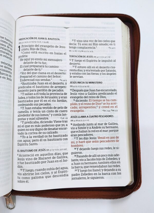 Biblia letra grande RVR1960 forro