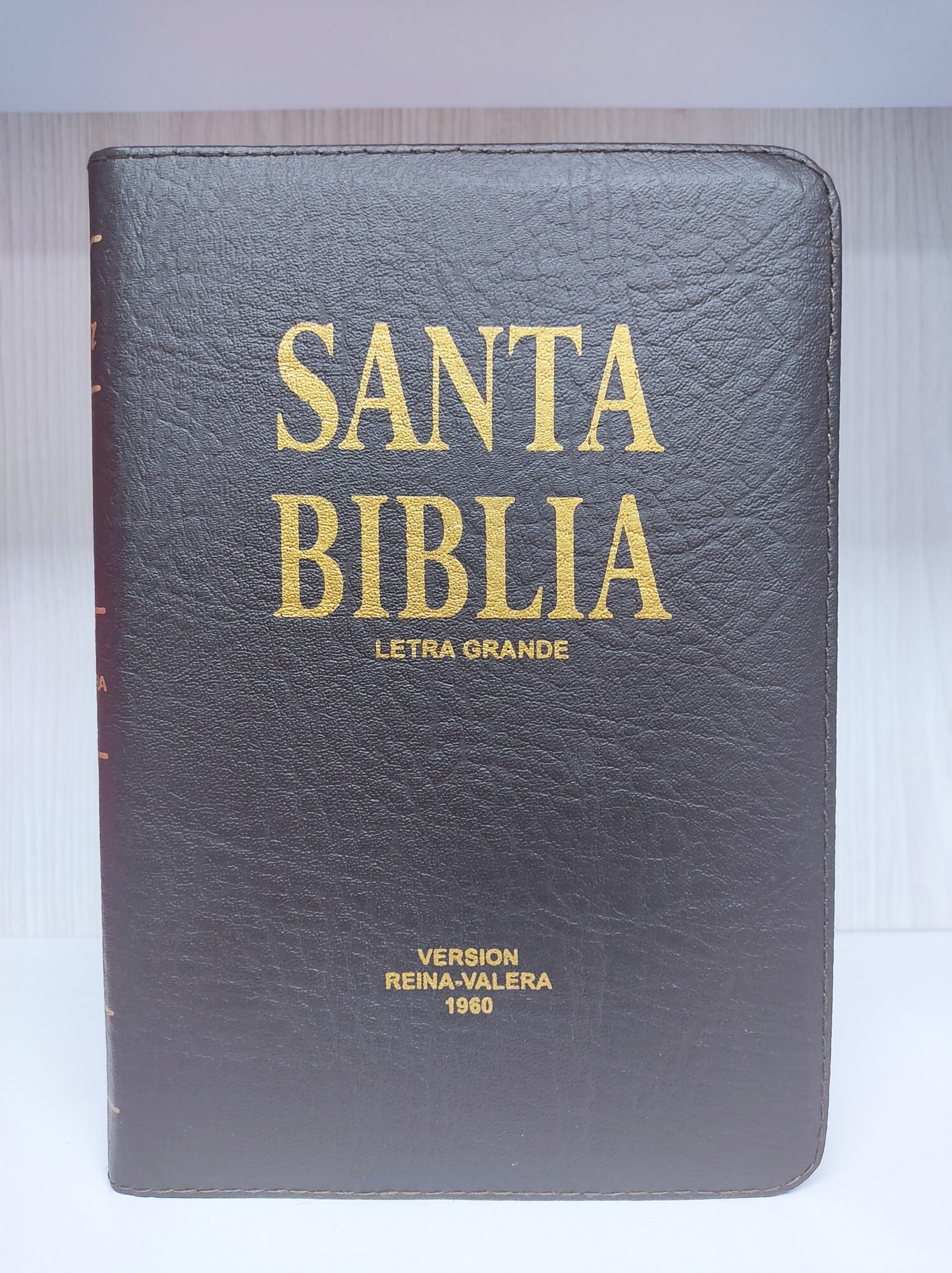 biblia reina valera 1960 letra grande gratis