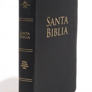 Biblia Letra Grande Reina Valera 1960/Negra