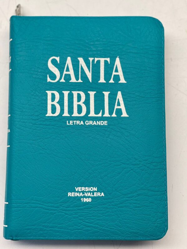 biblia reina valera 1960 letra grande en español