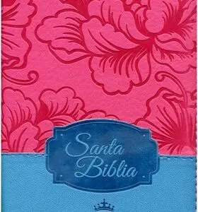 Biblia RVR60 045CZTILG, Fucsia Azul Cierre Indice Canto Plateado