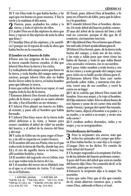 Biblia de estudio serie 50 rosa dos tonos RVR60