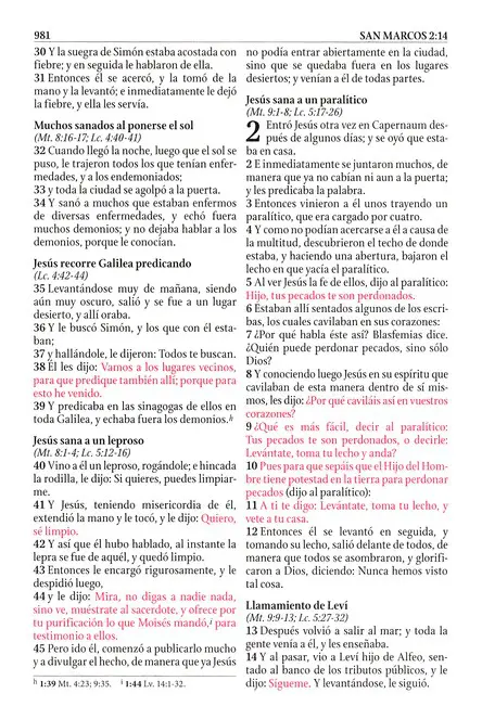 Biblia de estudio serie 50 rosa dos tonos RVR60