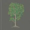 Biblia Diario Vivir en Tela