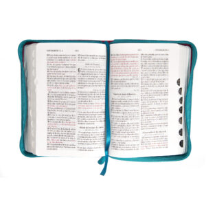 Biblia RVR60 Tamaño 45CZTILG Fucsia Azul