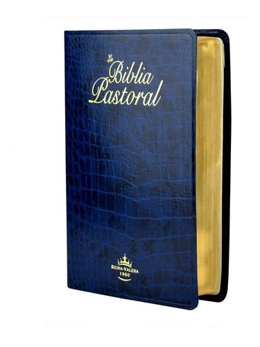 Biblia Pastoral Azul RVR60
