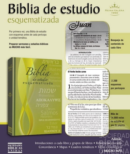 Biblia de Estudio Esquematizada RVR1960 tubiblia.com.co