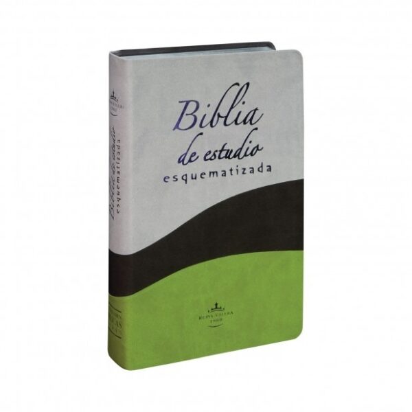 Biblia de Estudio Esquematizada RVR1960 tubiblia.com.co