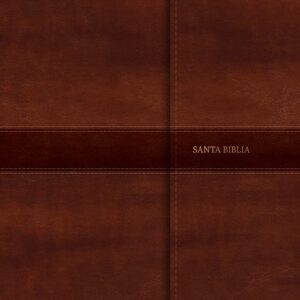 RVR 1960 Biblia Letra Gigante solapa con imán