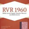 Biblia RVR60 Manual Borravino