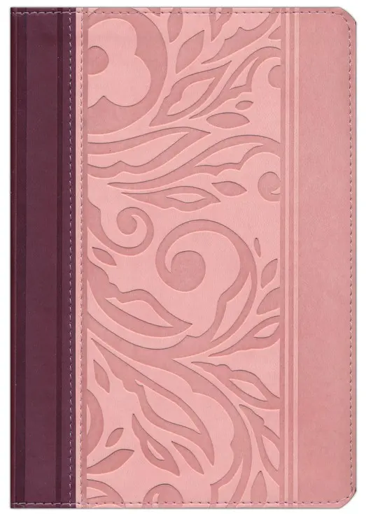 Biblia RVR60 Manual Borravino