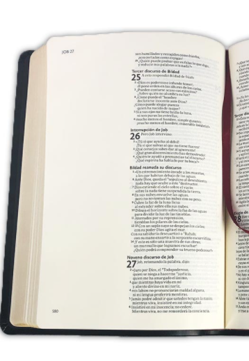 Biblia de Notas Personales NVI