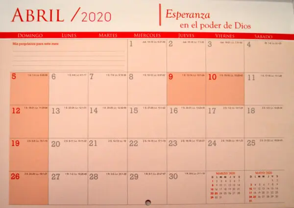 Calendario Programador 2020 Aves - Imagen 2