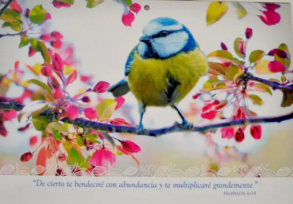 Calendario Programador 2020 Aves - Imagen 3