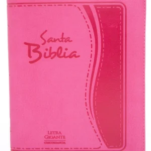 Biblia letra gigante fucsia