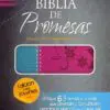 Biblia de promesas Jóvenes RVR60