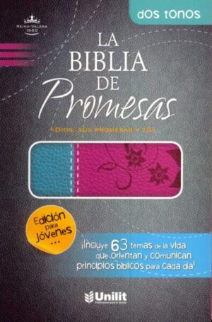 Biblia de promesas Jóvenes RVR60