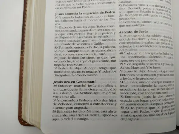 Biblia Ultra fina RVR 77 / Cafe - Imagen 3