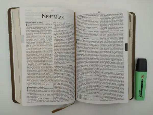 Biblia NVI Tipo Agenda - Imagen 3