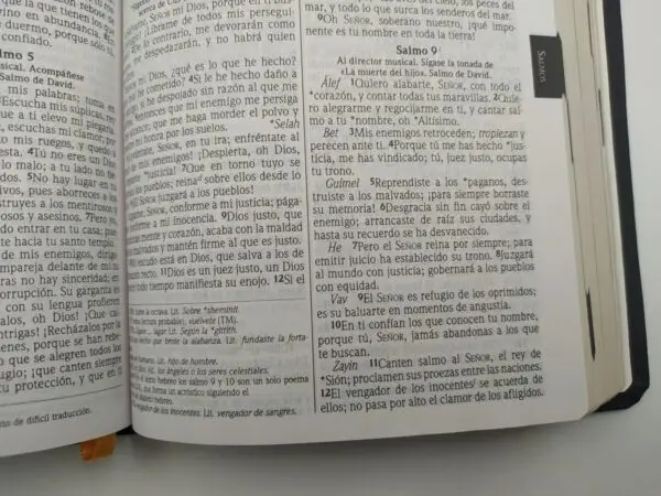 Biblia NVI Tipo Agenda - Imagen 2