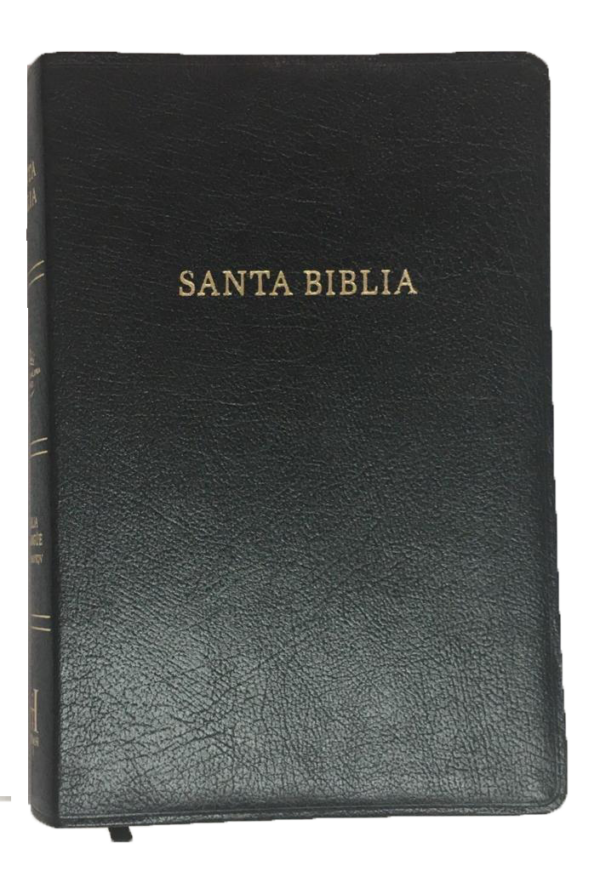 Biblia Bilingüe  RVR 60 - Imagen 2