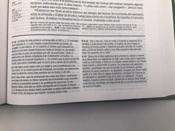 Biblia de estudio Diario Vivir NTV - Imagen 4