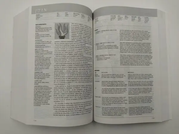 Biblia de estudio Diario Vivir NTV - Imagen 2